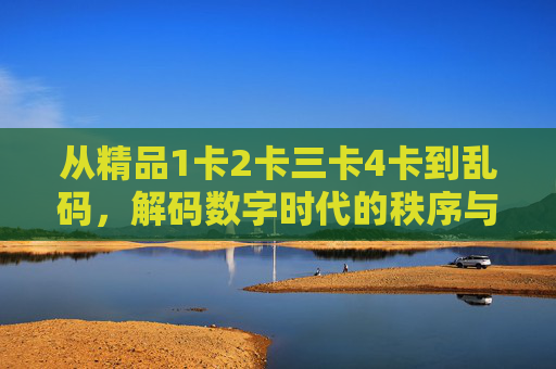 从精品1卡2卡三卡4卡到乱码，解码数字时代的秩序与混乱，解码数字秩序，从有序编码到混沌乱码