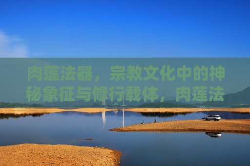 肉莲法器,宗教文化中的神秘象征与修行载体,肉莲法器,宗教文化的神秘象征与修行载体 肉莲法器,宗教文化中的神秘象征与修行载体,肉莲法器,宗教文化的神秘象征与修行载体