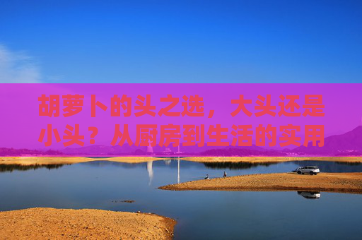 胡萝卜的头之选,大头还是小头?从厨房到生活的实用指南,胡萝卜大头还是小头?厨房生活实用指南 胡萝卜的头之选,大头还是小头?从厨房到生活的实用指南,胡萝卜大头还是小头?厨房生活实用指南