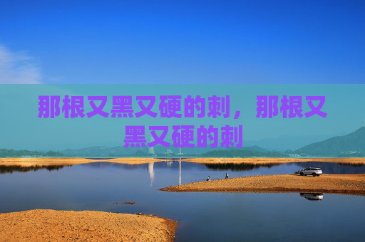 那根又黑又硬的刺,那根又黑又硬的刺 那根又黑又硬的刺,那根又黑又硬的刺