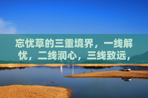 忘忧草的三重境界，一线解忧，二线润心，三线致远，忘忧草三重境，解忧润心以致远
