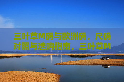三叶草M码与欧洲码,尺码对照与选购指南,三叶草M码与欧洲码尺码对照及选购指南 三叶草M码与欧洲码,尺码对照与选购指南,三叶草M码与欧洲码尺码对照及选购指南