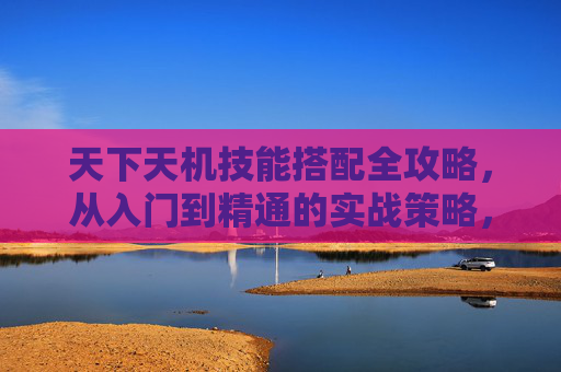 天下天机技能搭配全攻略,从入门到精通的实战策略,天下天机技能搭配实战攻略,从入门到精通 天下天机技能搭配全攻略,从入门到精通的实战策略,天下天机技能搭配实战攻略,从入门到精通