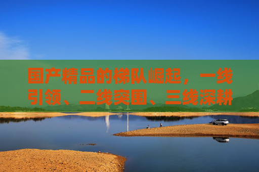 国产精品的梯队崛起,一线引领、二线突围、三线深耕,国产精品梯队崛起,一线引领、二线突围、三线深耕 国产精品的梯队崛起,一线引领、二线突围、三线深耕,国产精品梯队崛起,一线引领、二线突围、三线深耕