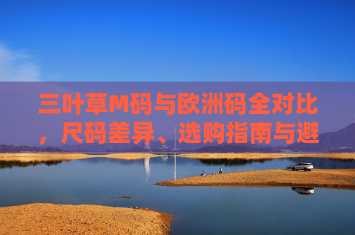 三叶草M码与欧洲码全对比,尺码差异、选购指南与避坑技巧,三叶草M码与欧洲码全对比,尺码差异、选购指南与避坑技巧 三叶草M码与欧洲码全对比,尺码差异、选购指南与避坑技巧,三叶草M码与欧洲码全对比,尺码差异、选购指南与避坑技巧
