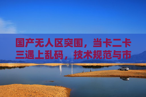 国产无人区突围,当卡二卡三遇上乱码,技术规范与市场困局如何破局?国产无人区突围,技术规范与市场困局的破局之道 国产无人区突围,当卡二卡三遇上乱码,技术规范与市场困局如何破局?国产无人区突围,技术规范与市场困局的破局之道