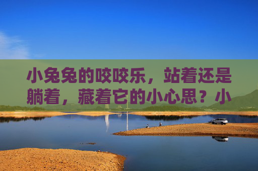 小兔兔的咬咬乐,站着还是躺着,藏着它的小心思?小兔兔咬咬乐,姿势里的小心思 小兔兔的咬咬乐,站着还是躺着,藏着它的小心思?小兔兔咬咬乐,姿势里的小心思