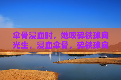 伞骨浸血时，她咬碎铁球向光生，浸血伞骨，碎铁球向光生