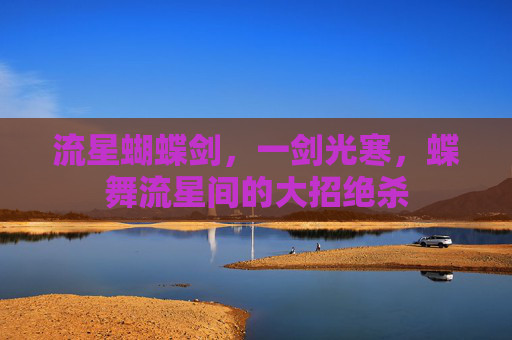 流星蝴蝶剑,一剑光寒,蝶舞流星间的大招绝杀 流星蝴蝶剑,一剑光寒,蝶舞流星间的大招绝杀