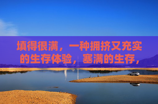 填得很满，一种拥挤又充实的生存体验，塞满的生存，拥挤中的充实体验