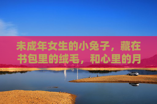 未成年女生的小兔子,藏在书包里的绒毛,和心里的月光,少女的小兔绒毛与心月光 未成年女生的小兔子,藏在书包里的绒毛,和心里的月光,少女的小兔绒毛与心月光