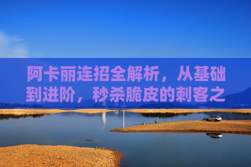 阿卡丽连招全解析,从基础到进阶,秒杀脆皮的刺客之道,阿卡丽连招全解析,从基础到进阶,秒杀脆皮刺客之道 阿卡丽连招全解析,从基础到进阶,秒杀脆皮的刺客之道,阿卡丽连招全解析,从基础到进阶,秒杀脆皮刺客之道