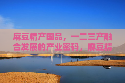 麻豆精产国品，一二三产融合发展的产业密码，麻豆精产国品，一二三产融合的产业密码