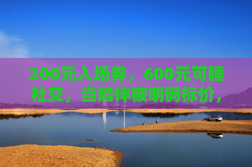 200元入场券，600元可睡社交，当陪伴被明码标价，我们买的是社交还是解药？明码标价的陪伴，我们买的是社交还是解药？