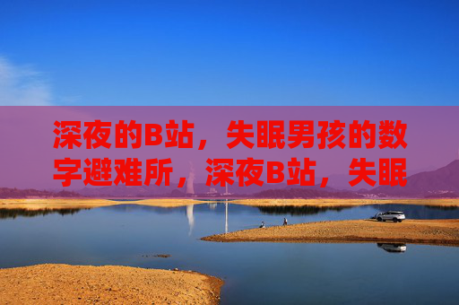深夜的B站,失眠男孩的数字避难所,深夜B站,失眠男孩的数字避难所 深夜的B站,失眠男孩的数字避难所,深夜B站,失眠男孩的数字避难所