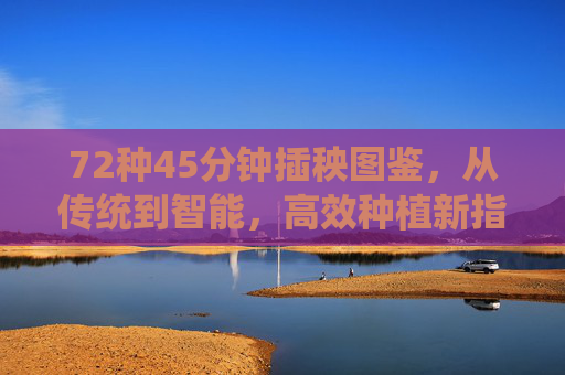 72种45分钟插秧图鉴,从传统到智能,高效种植新指南,72种45分钟插秧图鉴,从传统到智能的高效种植新指南 72种45分钟插秧图鉴,从传统到智能,高效种植新指南,72种45分钟插秧图鉴,从传统到智能的高效种植新指南