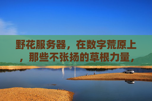 野花服务器,在数字荒原上,那些不张扬的草根力量,数字荒原上的野花,不张扬的草根力量 野花服务器,在数字荒原上,那些不张扬的草根力量,数字荒原上的野花,不张扬的草根力量