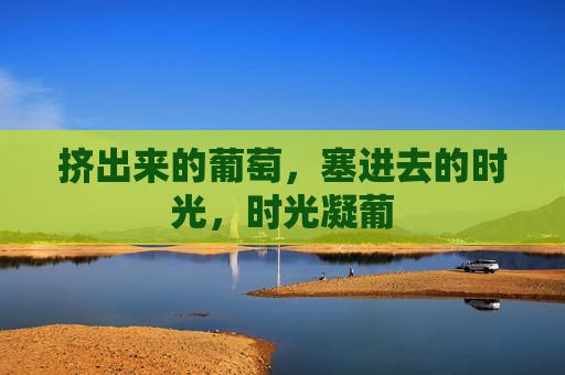 挤出来的葡萄,塞进去的时光,时光凝葡 挤出来的葡萄,塞进去的时光,时光凝葡