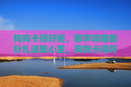 狗狗卡得好疼,那声呜咽像针扎进我心里,狗狗卡得好疼,呜咽如针扎心 狗狗卡得好疼,那声呜咽像针扎进我心里,狗狗卡得好疼,呜咽如针扎心