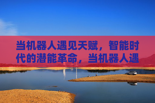 当机器人遇见天赋，智能时代的潜能革命，当机器人遇见天赋，智能时代的潜能革命