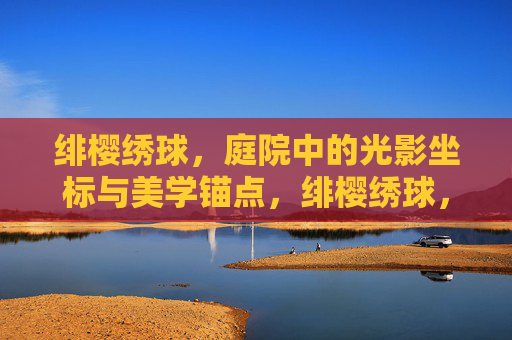绯樱绣球，庭院中的光影坐标与美学锚点，绯樱绣球，庭院光影坐标与美学锚点
