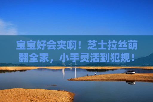 宝宝好会夹啊!芝士拉丝萌翻全家,小手灵活到犯规!宝宝芝士拉丝萌翻全家,小手灵活犯规! 宝宝好会夹啊!芝士拉丝萌翻全家,小手灵活到犯规!宝宝芝士拉丝萌翻全家,小手灵活犯规!
