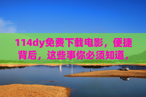 114dy免费下载电影，便捷背后，这些事你必须知道，114dy免费下载电影，便捷背后，这些事你必须知道