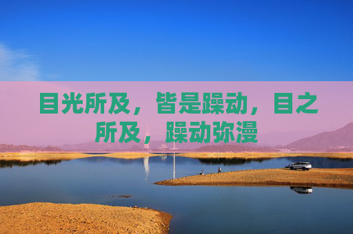 目光所及，皆是躁动，目之所及，躁动弥漫
