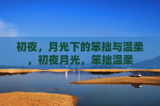 初夜,月光下的笨拙与温柔,初夜月光,笨拙温柔 初夜,月光下的笨拙与温柔,初夜月光,笨拙温柔