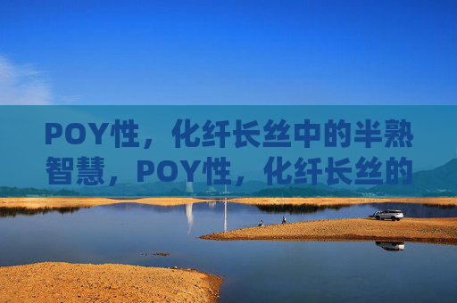 POY性,化纤长丝中的半熟智慧,POY性,化纤长丝的半熟智慧 POY性,化纤长丝中的半熟智慧,POY性,化纤长丝的半熟智慧
