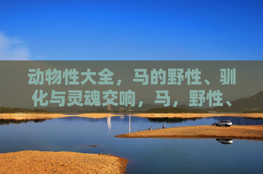 动物性大全,马的野性、驯化与灵魂交响,马,野性、驯化与灵魂的交响 动物性大全,马的野性、驯化与灵魂交响,马,野性、驯化与灵魂的交响
