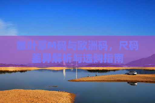 嫩叶草M码与欧洲码,尺码差异解析与选购指南 嫩叶草M码与欧洲码,尺码差异解析与选购指南