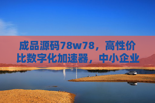 成品源码78w78，高性价比数字化加速器，中小企业降本增效的理性选择，78w78成品源码，高性价比数字化加速器，中小企业降本增效理性选择