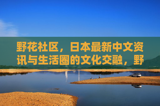 野花社区，日本最新中文资讯与生活圈的文化交融，野花社区，日本中文资讯与生活圈的文化交融