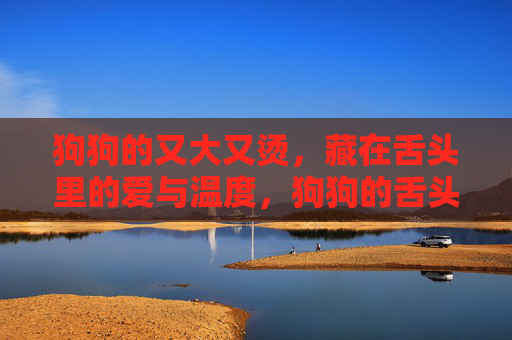 狗狗的又大又烫,藏在舌头里的爱与温度,狗狗的舌头,藏着滚烫的爱 狗狗的又大又烫,藏在舌头里的爱与温度,狗狗的舌头,藏着滚烫的爱