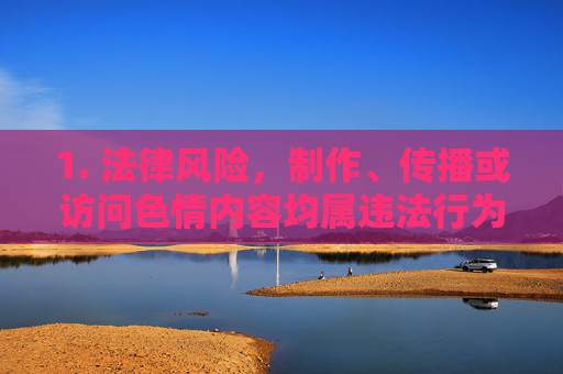 1. 法律风险，制作、传播或访问色情内容均属违法行为，将面临法律制裁，违法，制作、传播、访问均面临法律制裁