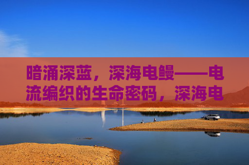 暗涌深蓝，深海电鳗——电流编织的生命密码，深海电鳗，电流编织的生命密码