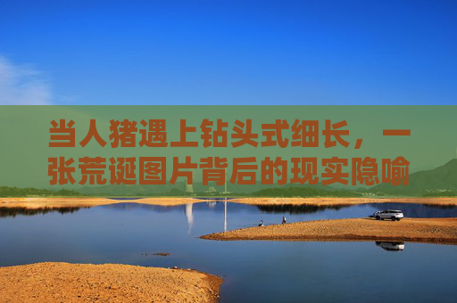 当人猪遇上钻头式细长,一张荒诞图片背后的现实隐喻,荒诞图景,人猪与钻头式细长的现实隐喻 当人猪遇上钻头式细长,一张荒诞图片背后的现实隐喻,荒诞图景,人猪与钻头式细长的现实隐喻