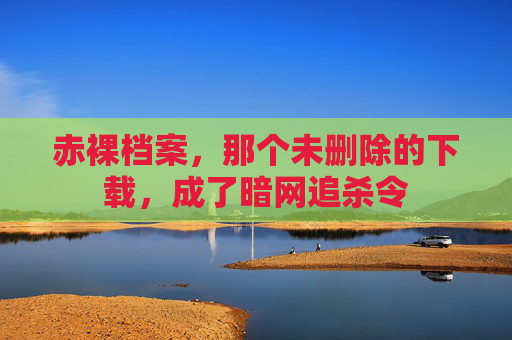 赤裸档案,那个未删除的下载,成了暗网追杀令 赤裸档案,那个未删除的下载,成了暗网追杀令