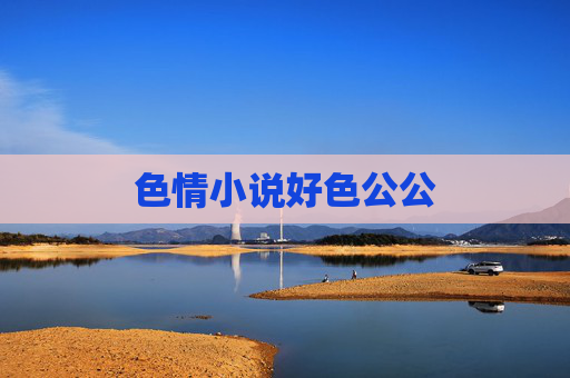 色情小说好色公公
