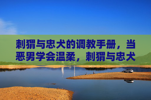 刺猬与忠犬的调教手册,当恶男学会温柔,刺猬与忠犬,恶男的温柔调教手册 刺猬与忠犬的调教手册,当恶男学会温柔,刺猬与忠犬,恶男的温柔调教手册