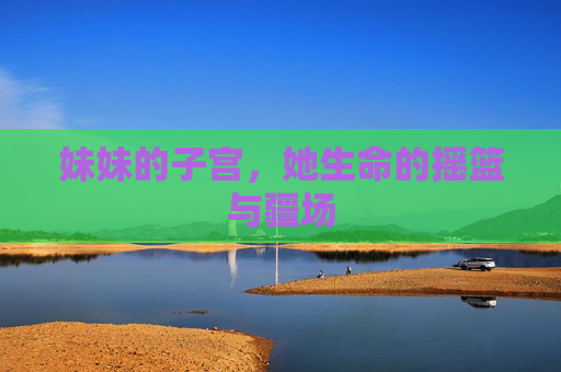 妹妹的子宫,她生命的摇篮与疆场 妹妹的子宫,她生命的摇篮与疆场