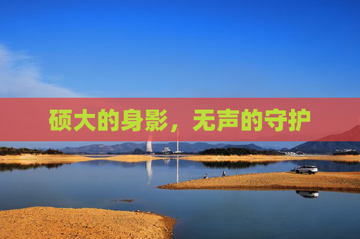 硕大的身影,无声的守护 硕大的身影,无声的守护