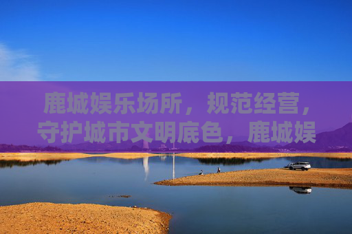 鹿城娱乐场所，规范经营，守护城市文明底色，鹿城娱乐场所规范经营 守护城市文明底色