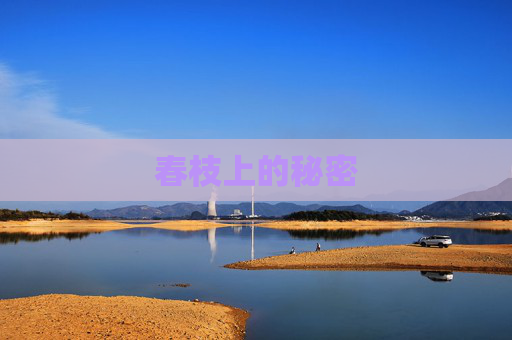 春枝上的秘密 春枝上的秘密