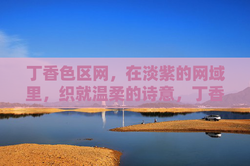 丁香色区网,在淡紫的网域里,织就温柔的诗意,丁香色网织温柔诗意 丁香色区网,在淡紫的网域里,织就温柔的诗意,丁香色网织温柔诗意