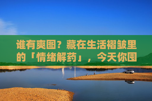 谁有爽图？藏在生活褶皱里的「情绪解药」，今天你囤了吗？爽图，生活褶皱里的情绪解药，今天囤了吗？