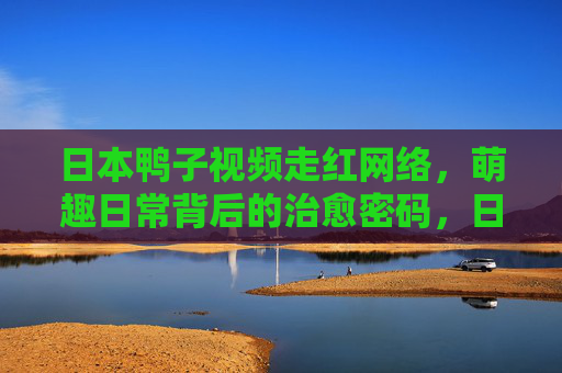 日本鸭子视频走红网络,萌趣日常背后的治愈密码,日本鸭子萌趣视频走红,日常里的治愈密码 日本鸭子视频走红网络,萌趣日常背后的治愈密码,日本鸭子萌趣视频走红,日常里的治愈密码