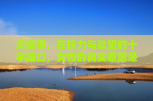 贞操带，在权力与欲望的十字路口，女性的真实意愿是什么？贞操带，权力与欲望的十字路口，女性的真实意愿？