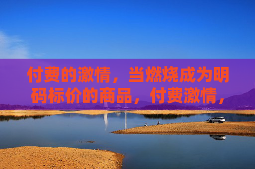 付费的激情,当燃烧成为明码标价的商品,付费激情,燃烧的明码标价 付费的激情,当燃烧成为明码标价的商品,付费激情,燃烧的明码标价